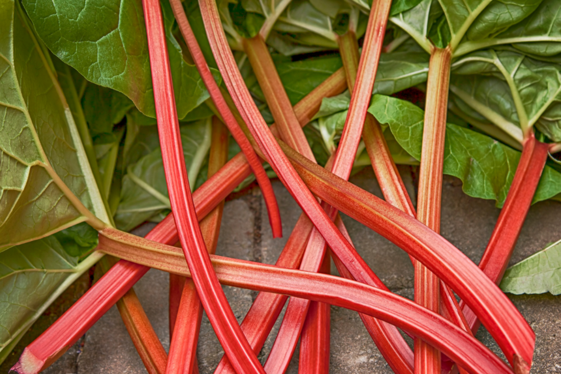 The Power of Rhubarb and BKF